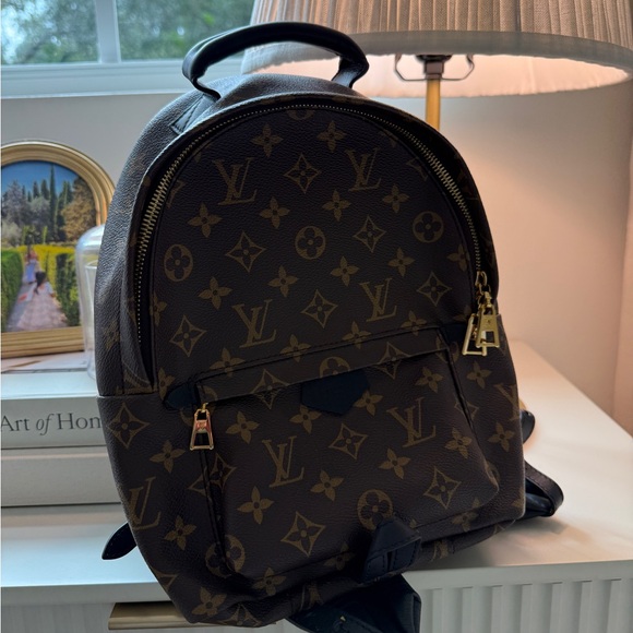 Louis Vuitton Monogram Palm Springs Backpack - Picture 1 of 10
